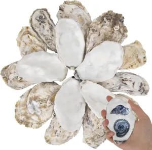 20 PCS Flat Oyster Shells for Crafts 3"-4" Natural Oyster Shells Bulk, for Home Vase Filler, Xmas Ornaments, DIY Arts and Crafts Sea Shells