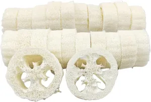 22PCS Natural Loofah Slices, Reusable Natural Loofah Cuts for Cleaner Sponge Scrubber, Facial Soap Holder and DIY Customize Soap Tools with 1 Storage Bag (Diameter 3.15In, Thick 1In)