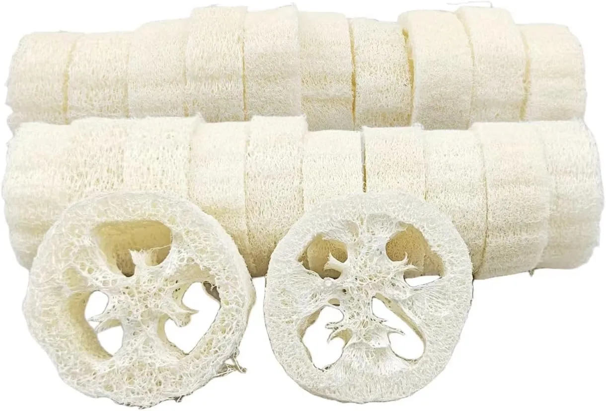 22PCS Natural Loofah Slices, Reusable Natural Loofah Cuts for Cleaner Sponge Scrubber, Facial Soap Holder and DIY Customize Soap Tools with 1 Storage Bag (Diameter 3.15In, Thick 1In)