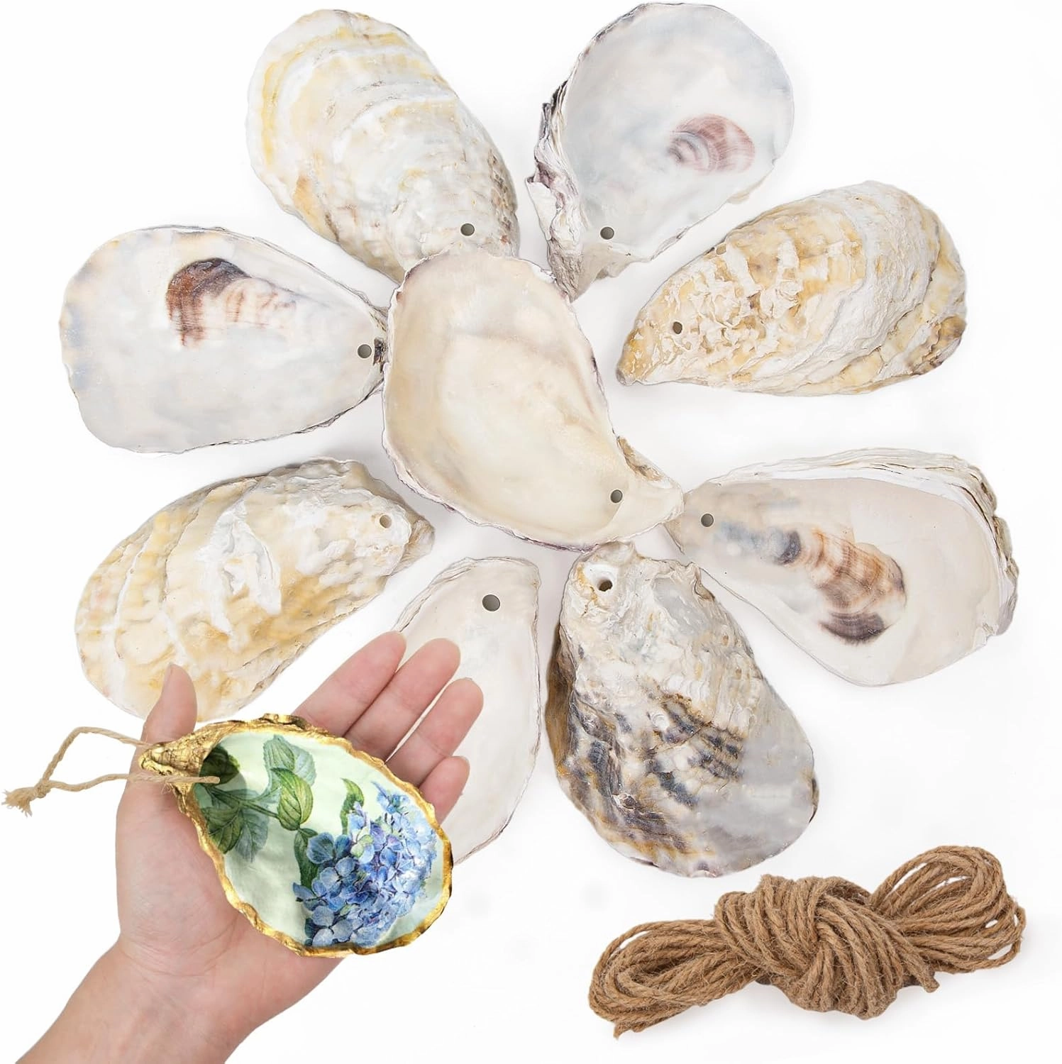 25PCS Oyster Shells for Crafts with Drilled Holes & Jute Rope 3"-4" Concave Oyster Shells Ornaments, for Home Hanging Decor, Xmas Ornaments, DIY Arts and Crafts