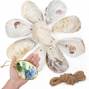 25PCS Oyster Shells for Crafts with Drilled Holes & Jute Rope 3"-4" Concave Oyster Shells Ornaments, for Home Hanging Decor, Xmas Ornaments, DIY Arts and Crafts