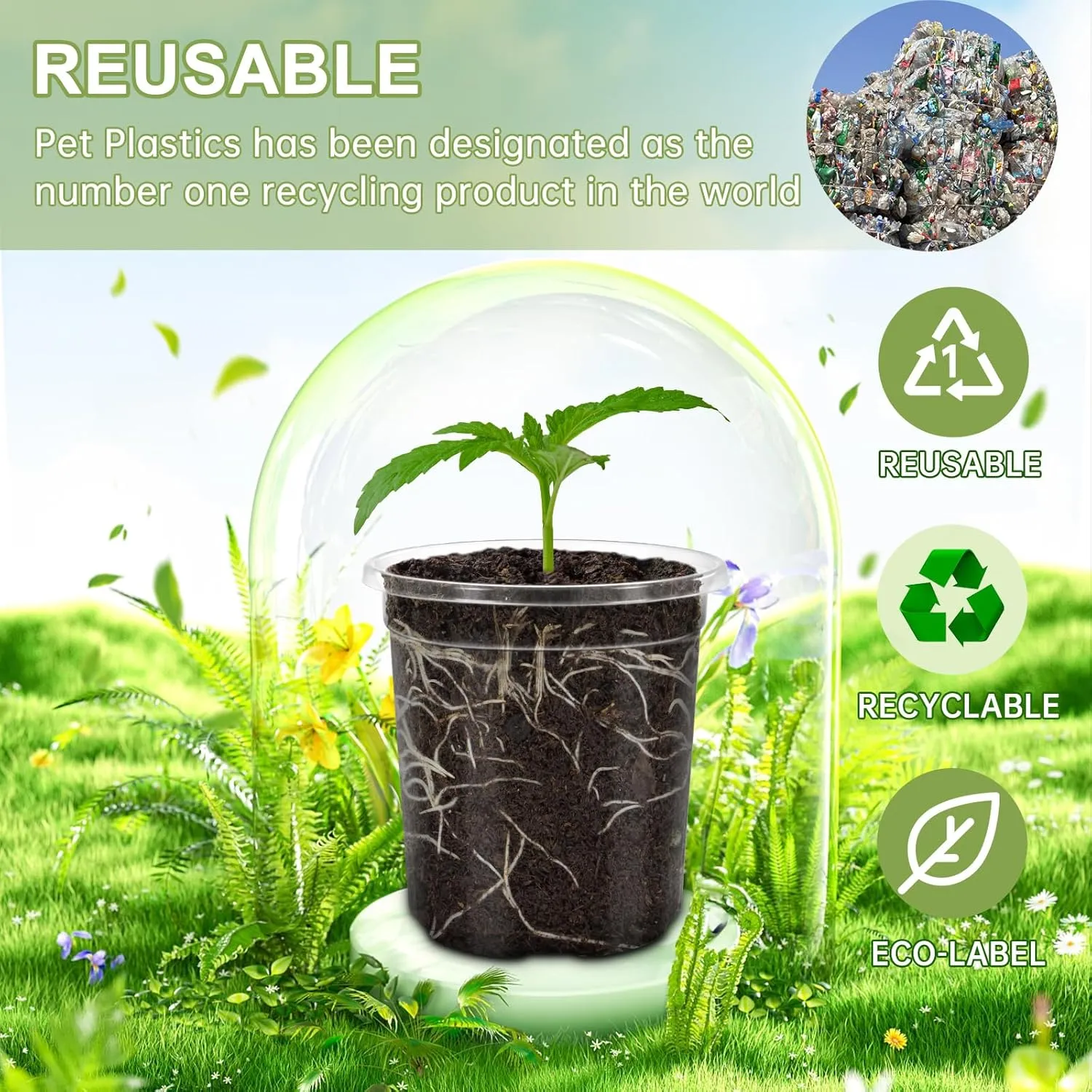 36 Packs 6.5/5/4/3.5 Inch Reinforced Clear Nursery Pots with Drainage Hole, Variety Pack High Transparency Plastic Seedling Plant Pot with 20 Labels