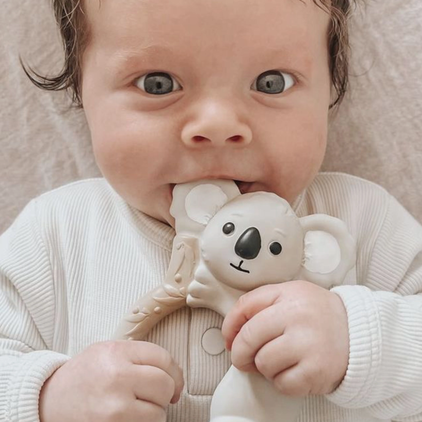 Banks the Koala - Teething Ring - 0 