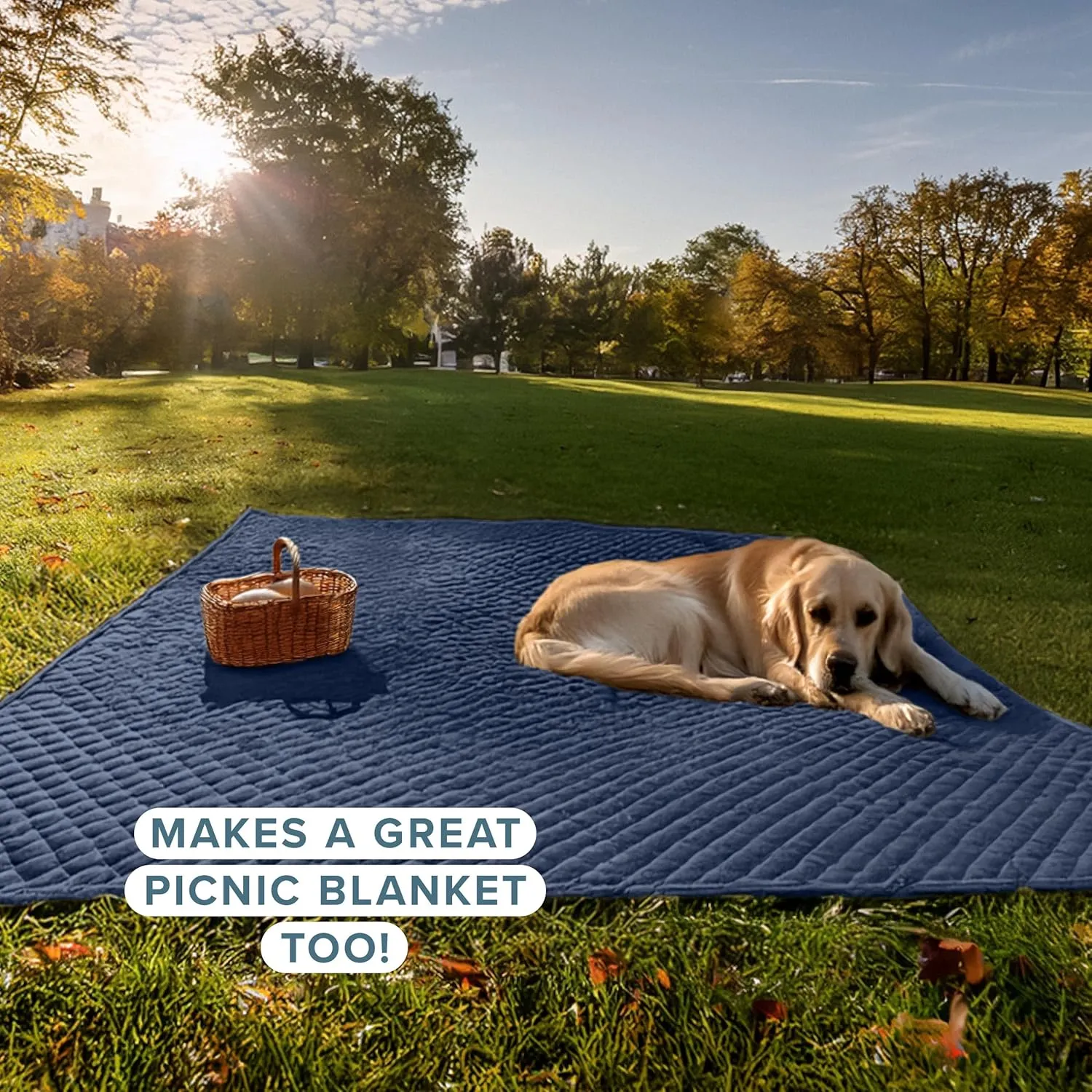 Bare Home Coverlet Set - Lightweight Bed Decor - Comforter Alternative - All-Season Quilted Bedspread (King, Dark Blue)