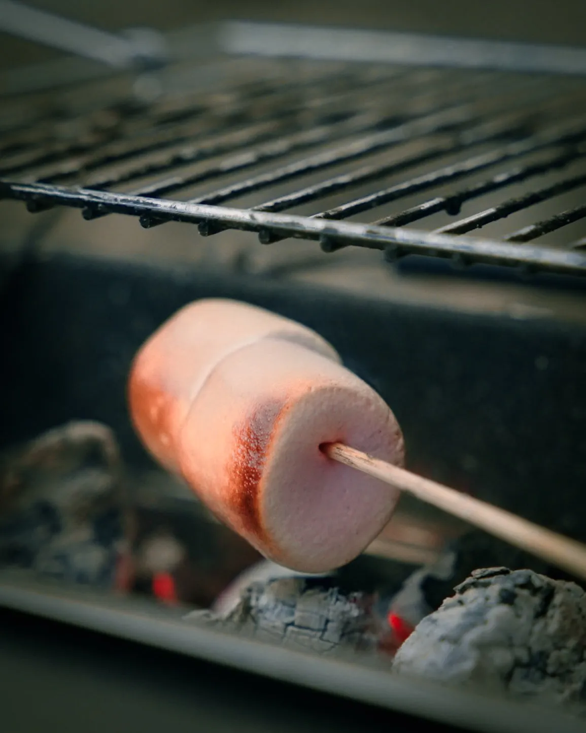 BBQ Briefcase