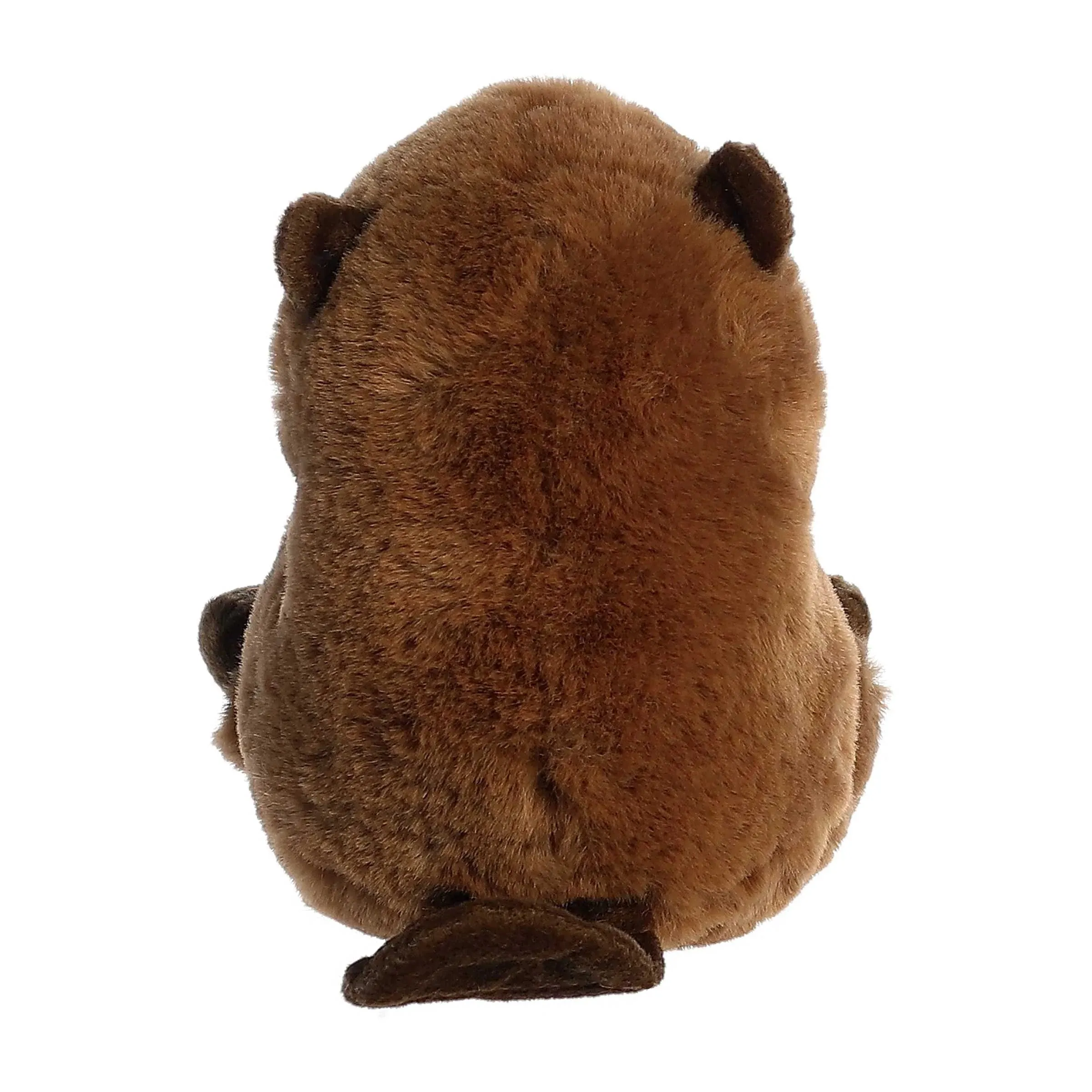 Beethoven Beaver 5" Plush