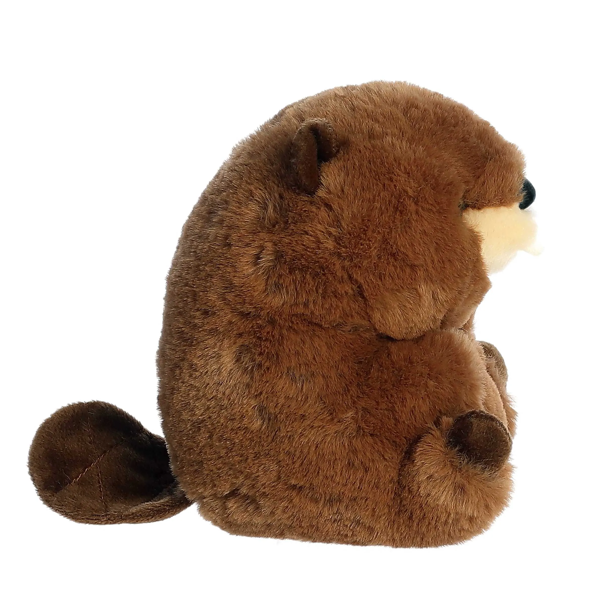 Beethoven Beaver 5" Plush