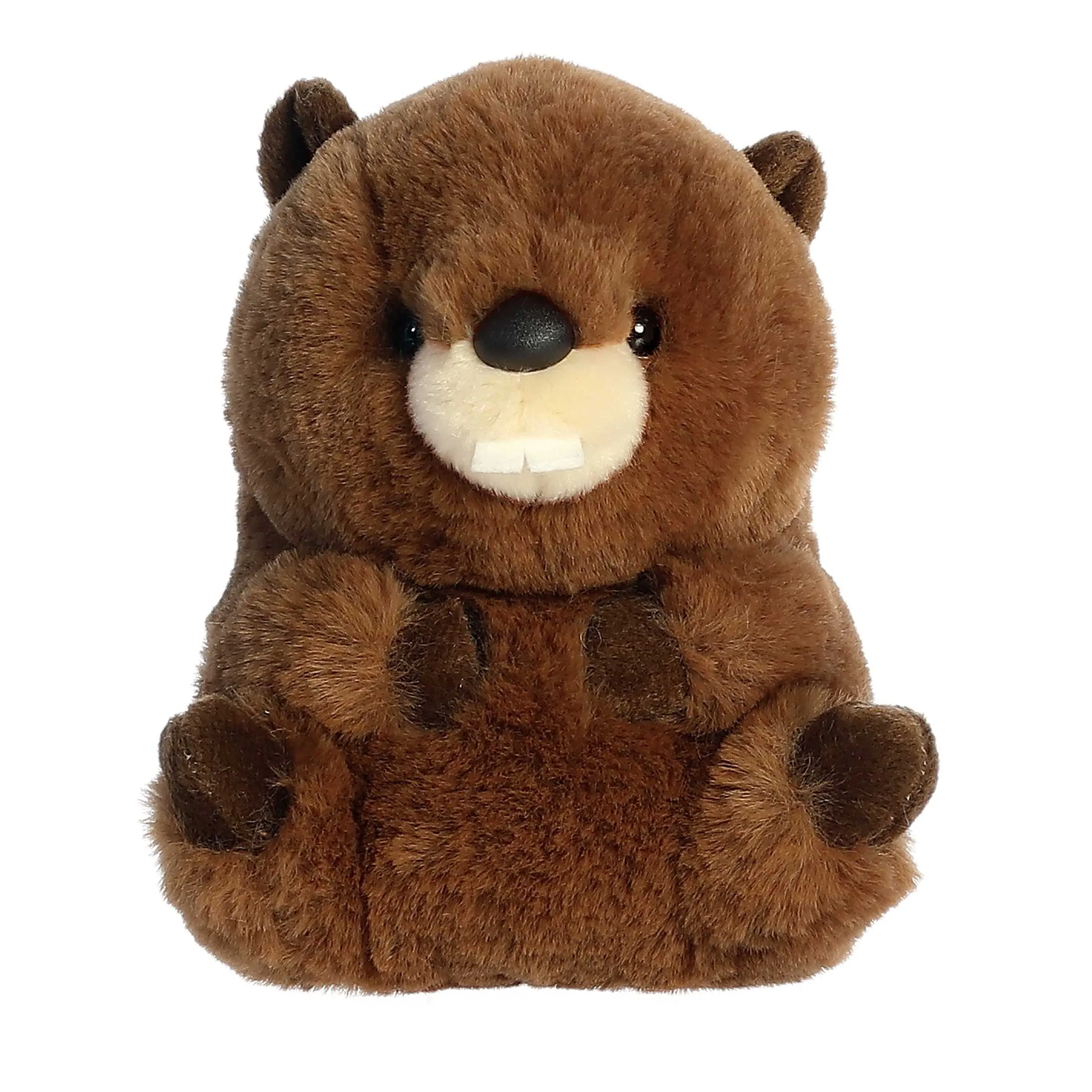 Beethoven Beaver 5" Plush