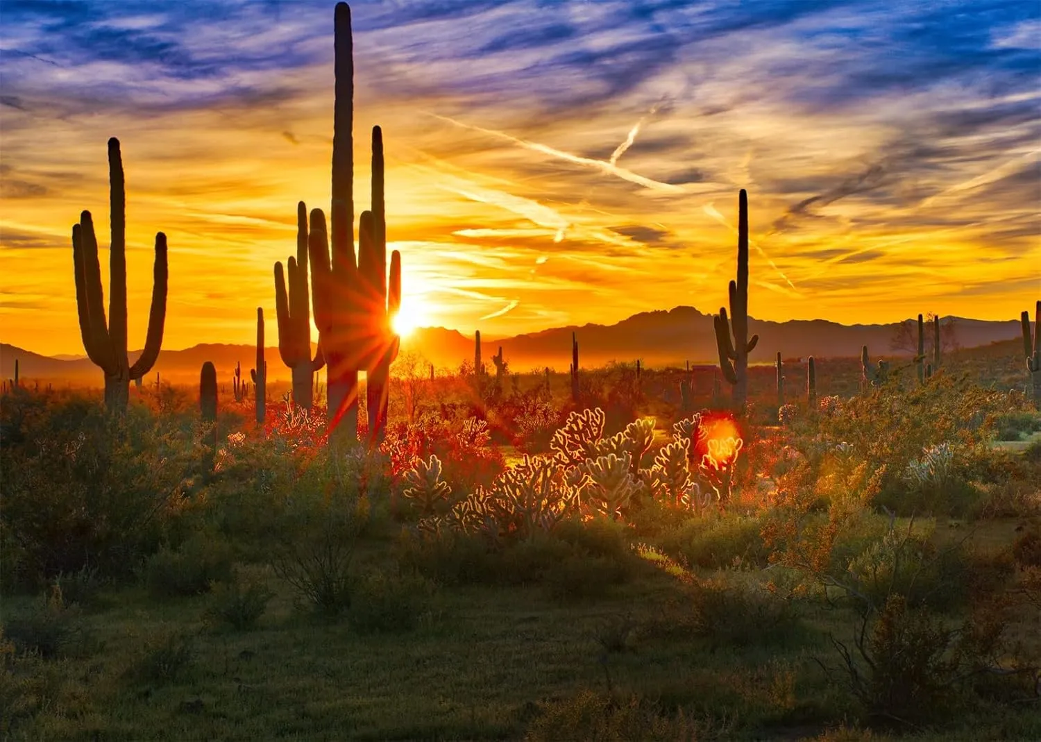 BELECO 8x6ft Fabric Arizona Desert Scenery Backdrop for Photography Saguaros Cactus Wilderness Mountains Sonoran Desert Sunset Background Western Desert Theme Party Decorations Photo Studio Props