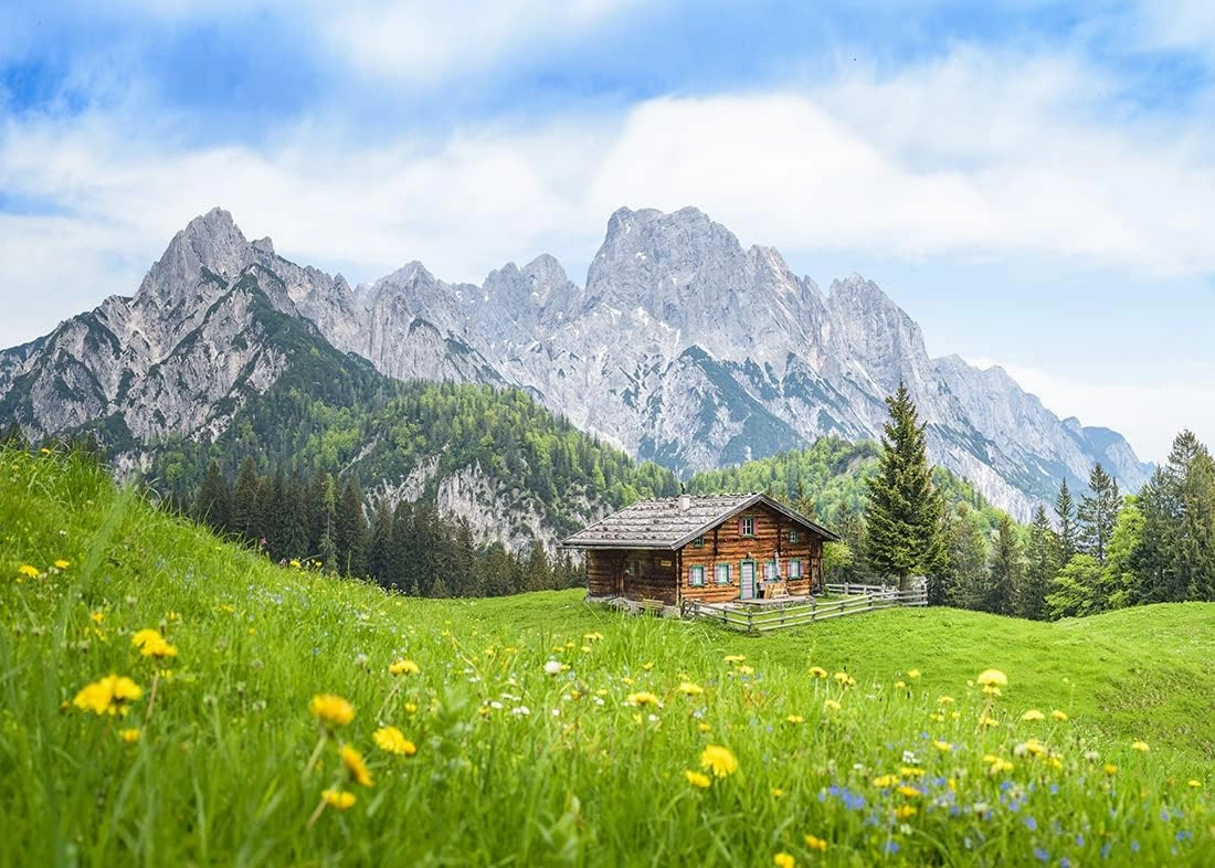 BELECO 8x6ft Fabric Europe Austrian Alpine Mountain Backdrop for Photography Green Grassland Cabin Forest Spring Flowers Background Wallpaper Home Decor Photo Portraits Video Studio Photo Props
