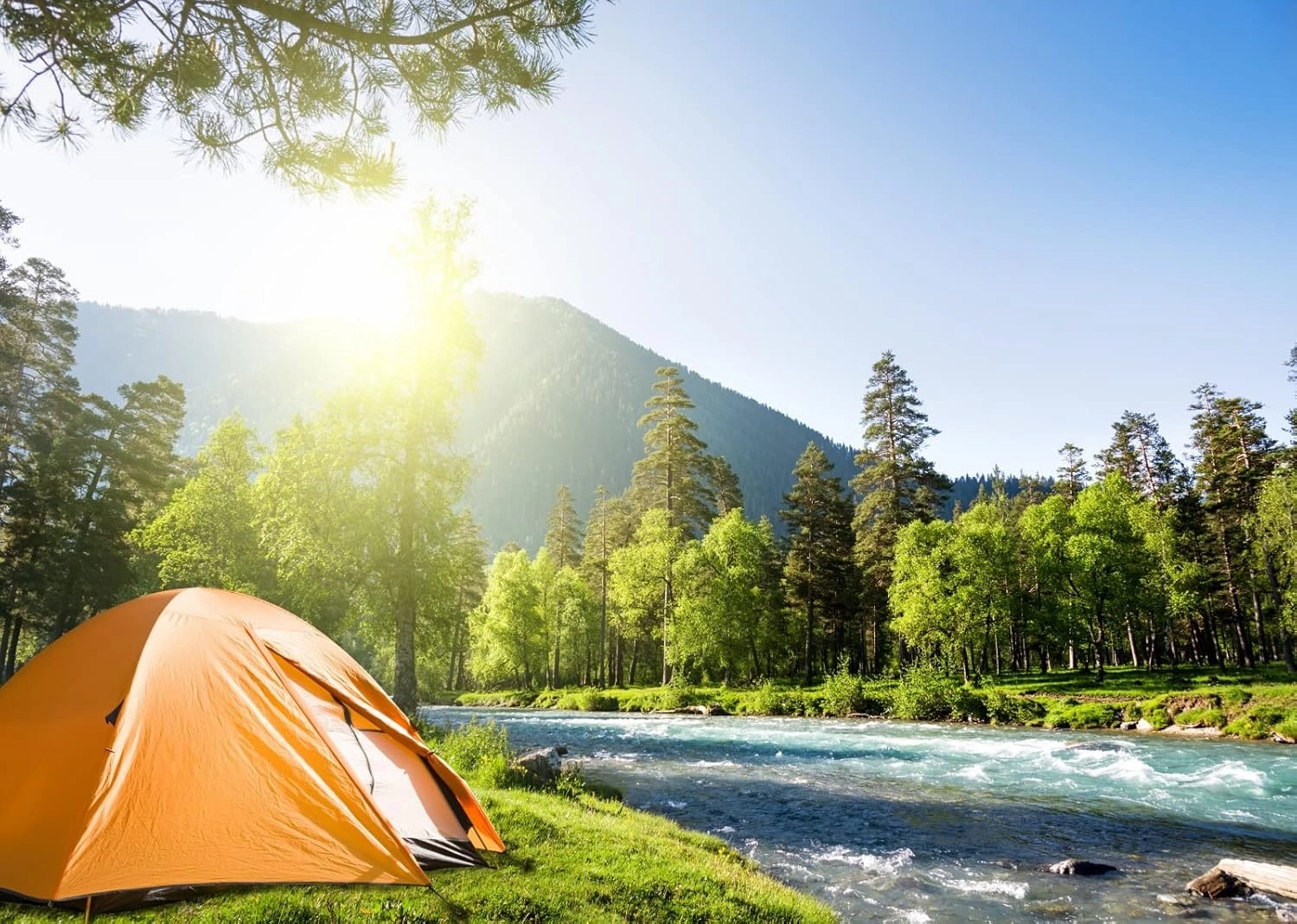 BELECO 8x6ft Fabric Mountain Forest Camping Backdrop Sunshine Outdoor Travel Hiking Mountains Pine Trees River Landscape Grassland Camp Tents Background Kids Birthday Party Decor Photo Shoot Props