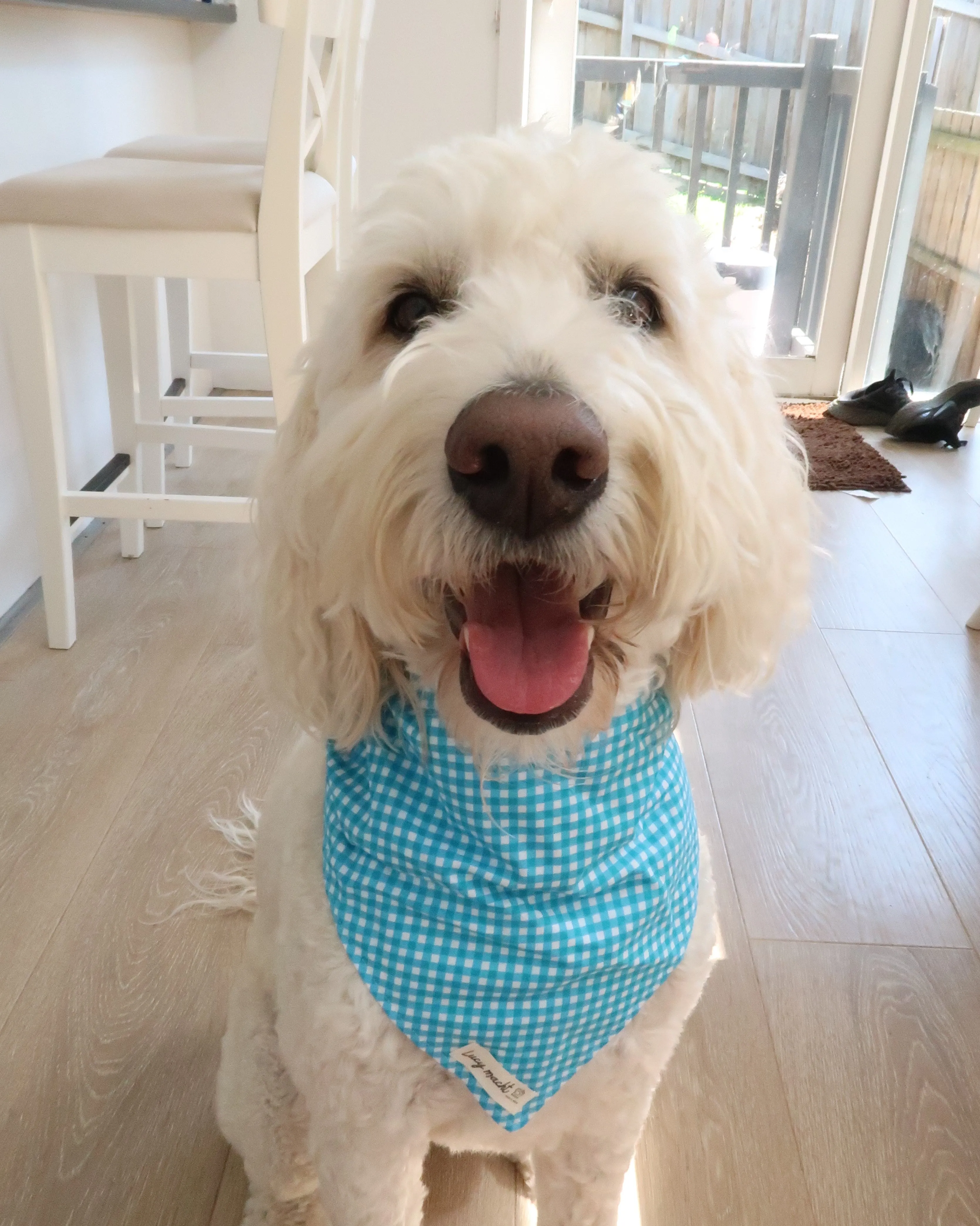 Blue Mini Gingham