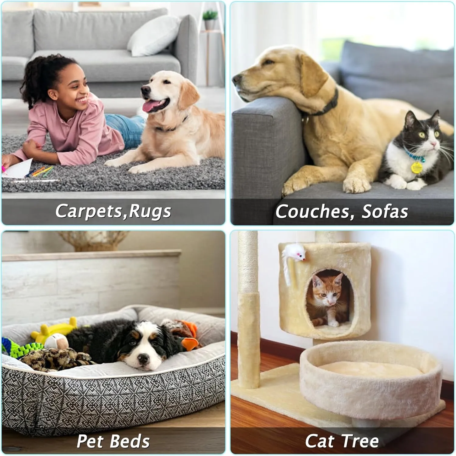 Carpet Rake for Pet Hair Removal - Reusable Pet Hair Remover, 60” Adjustable Long Handle Cat Dog Carpet Rake Scraper, Dog Hair Rake Brush for Rugs, Mats, Couch, Furniture