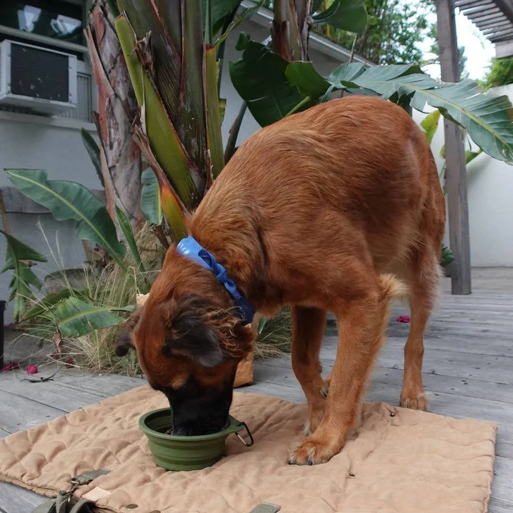 Desert Green Travel Collapsible Pet Bowl with Carabiner