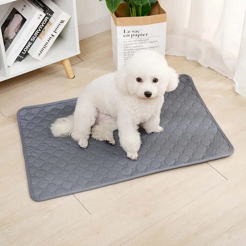 DoggyDry Reusable Pee Mat