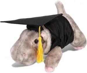 DolliBu Hippo Graduation Plush Toy - Wild Collection Plush Graduation Stuffed Animal Dress Up with Gown and Cap with Tassel - Gift with Personalization - 13 Inches