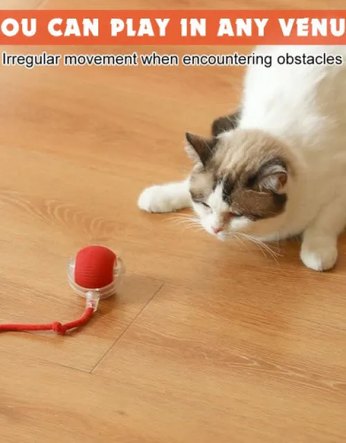 Electric Fun Ball Toy for Cats Dogs