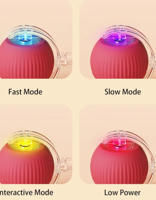 Electric Fun Ball Toy for Cats Dogs