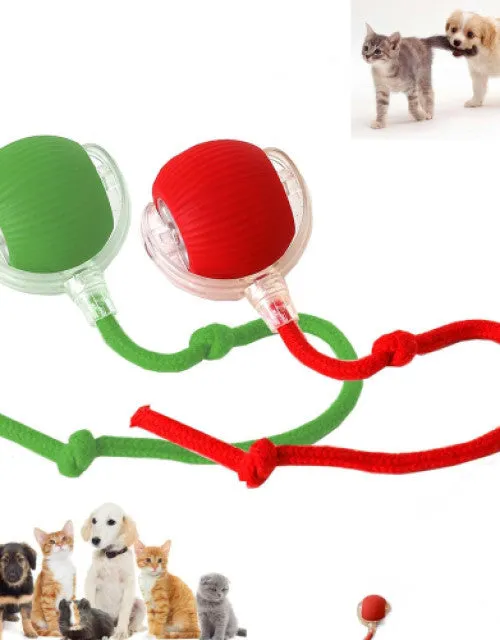 Electric Fun Ball Toy for Cats Dogs