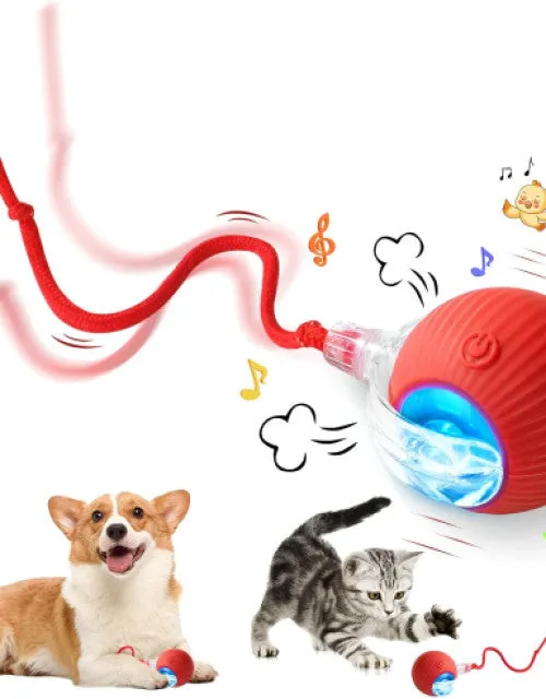 Electric Fun Ball Toy for Cats Dogs