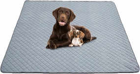 Eterish Reusable Washable Pee Pads for Dogs Large/Extra Large 36'' x 41'' 2 Pack, Absorbent Pet Puppy Dog Training Pads Non-Slip, Waterproof Whelping Potty Pads for Dogs Leak-Proof