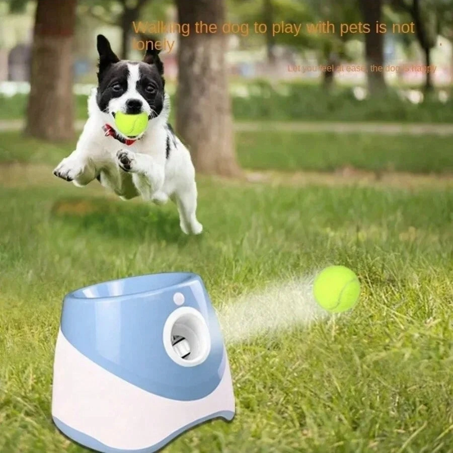 Fetch Master Automatic Ball Launcher