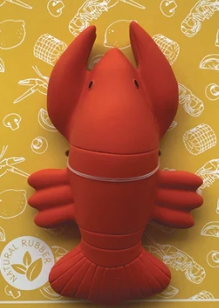 Heads or Tails? Teether