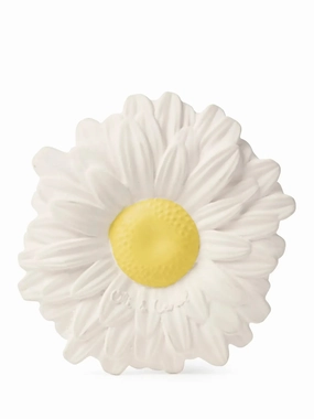 MARGARITA THE DAISY