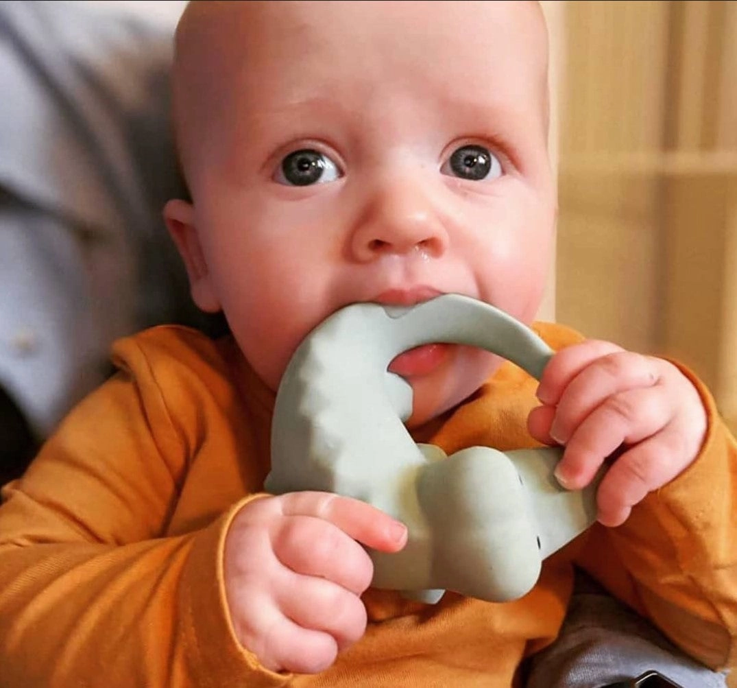 MY 1st Tikiri Safari - Crocodile - Natural Rubber Baby Rattle and Bath Toy, GIFT BOX