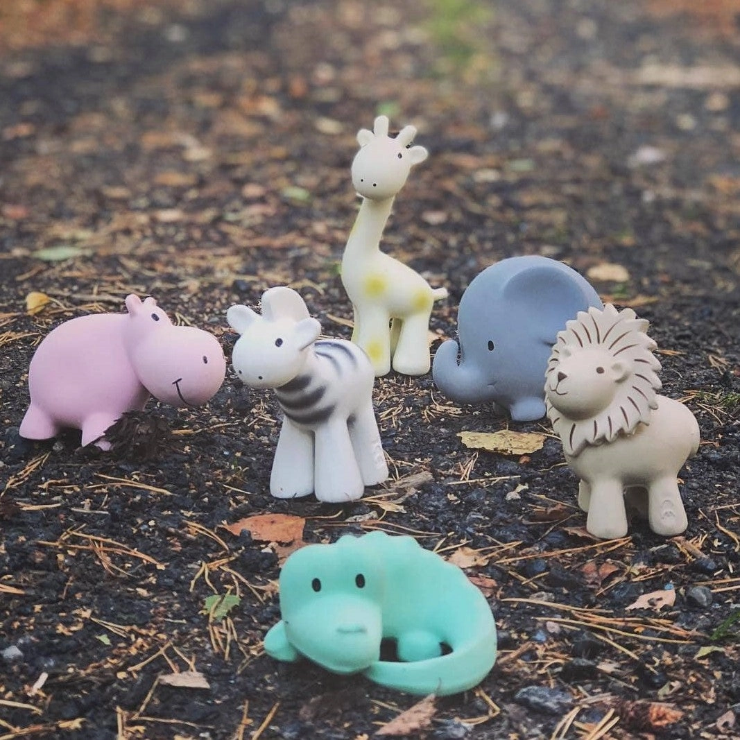 MY 1st Tikiri Safari - Crocodile - Natural Rubber Baby Rattle and Bath Toy, GIFT BOX