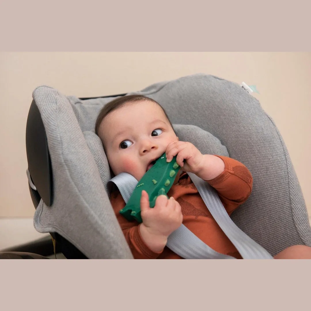 Natural Rubber Toy Collection | Safe & Fun Teething