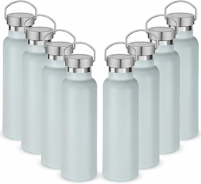Neihepal 20 oz Insulated Water Bottles Bulk 8 Pack,Stainless Steel Double Wall Sport Bottle with Lid of Handle,Metal Reusable Flask with Cup Cap for School,Hikers,Gift (Fog,Set of 8)