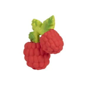 Oli & Carol Valery The Raspberry Teether