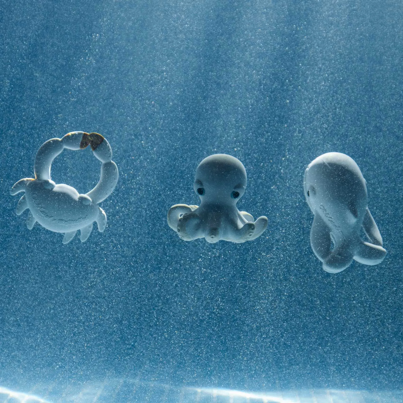 Oli & Carol Walter The Whale Bath Toy