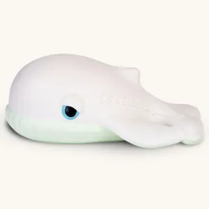 Oli & Carol Walter The Whale Bath Toy