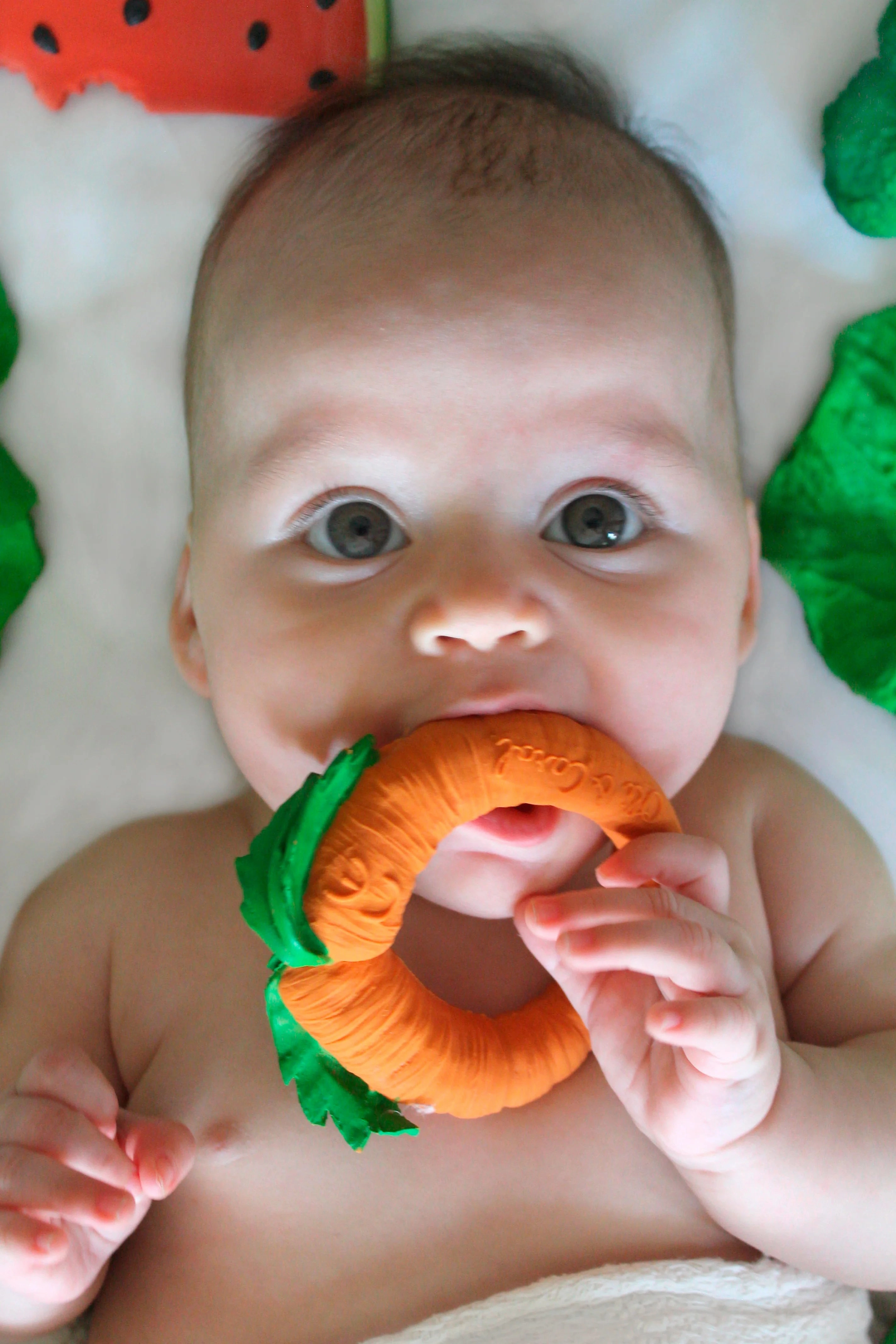 Oli and Carol - Teether - Cathy the Carrot