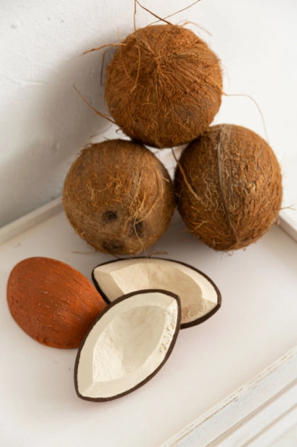 Oli and Carol - Teether - Coco the Coconut