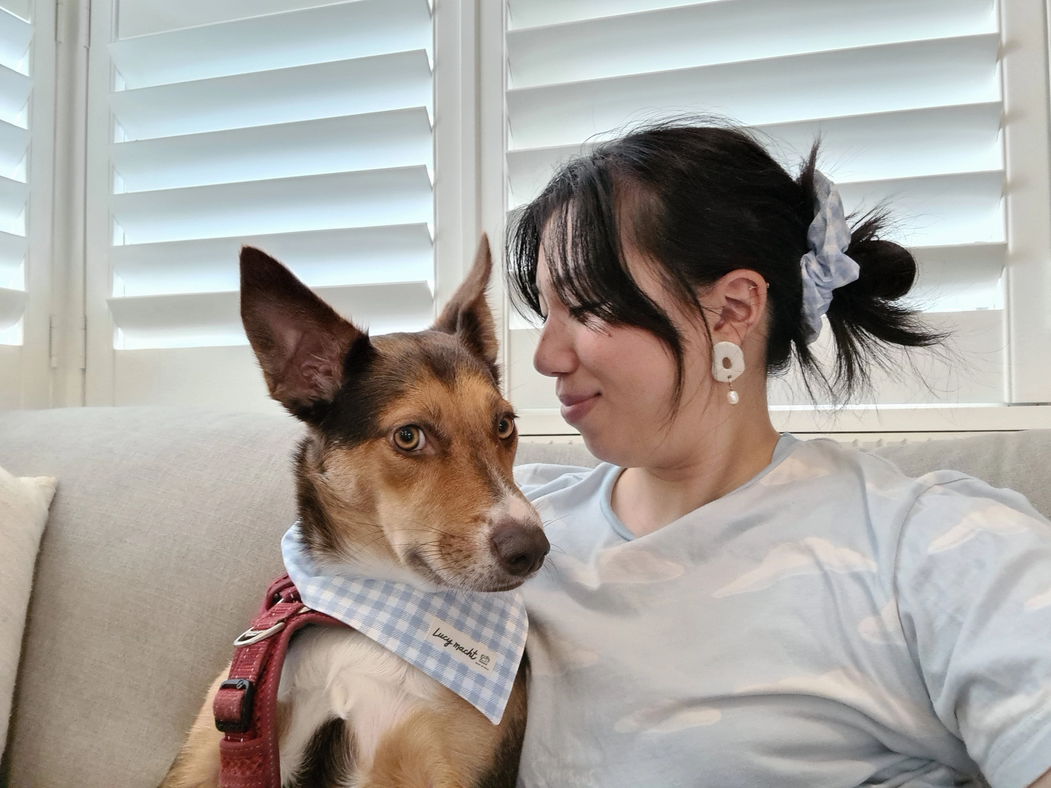 Pastel Blue Gingham - Pet Tie Bandana