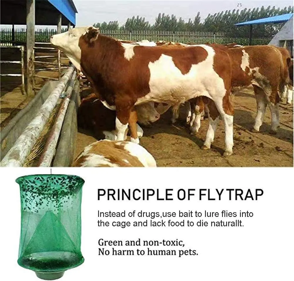 Ranch Fly Trap Outdoor Hanging Reusable with Fishing Apparatus | Food Bait Tray Catcher Cage for Indoor or Outdoor Family Farms, Park (4 Pack)