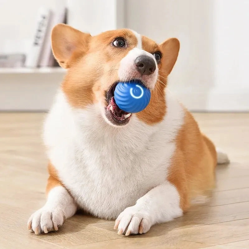 Rechargeable Intelligent Gravity Jump Ball for Dog Pets