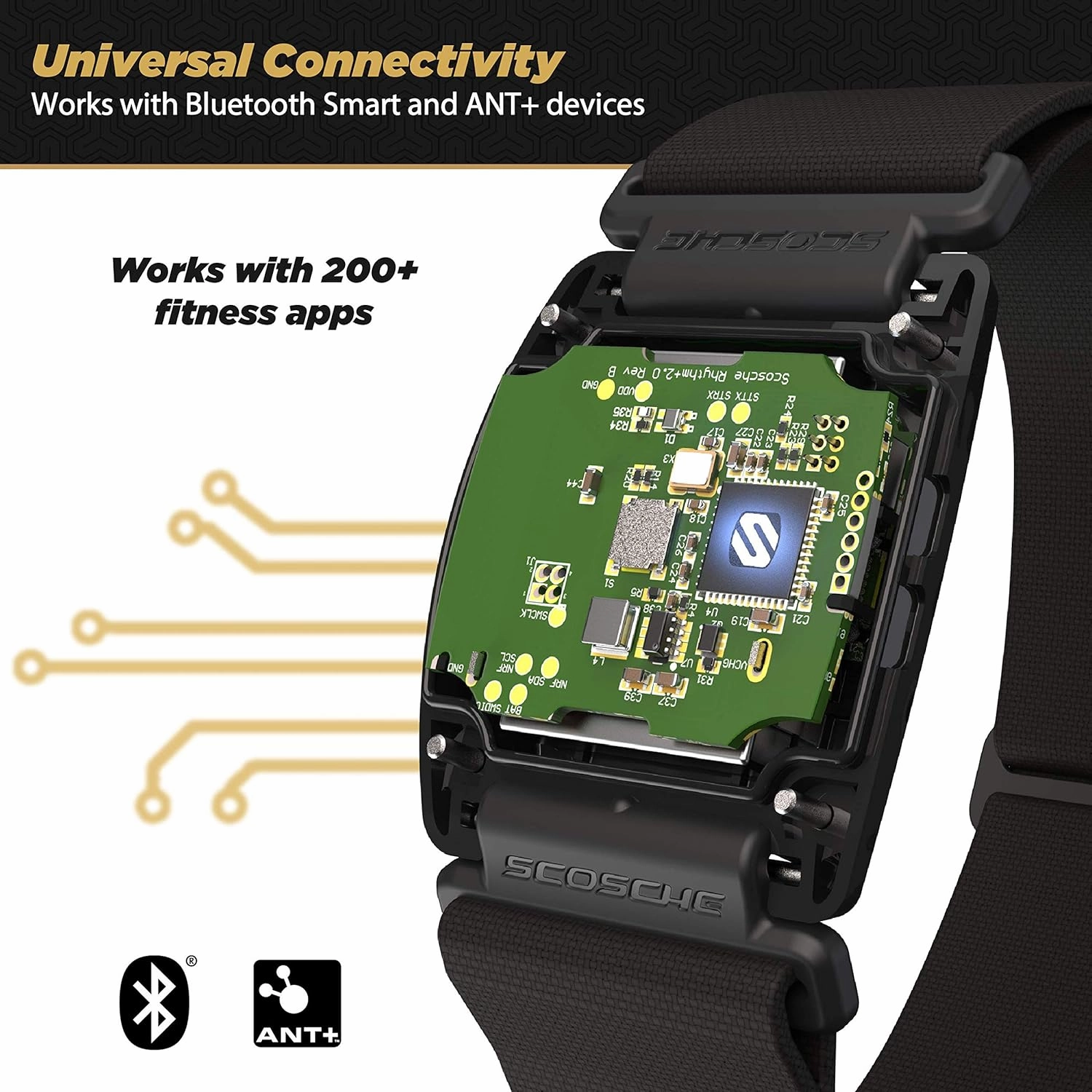 Scosche Rhythm R 2.0: Waterproof/Dustproof Armband with ANT  & BLE Bluetooth Smart for Hyper Accurate Workout Heart Rate Monitoring with Wahoo, Peloton, LED Monitor, DDP Yoga, Strava