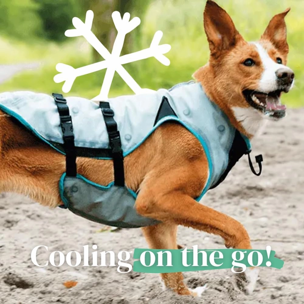Suitical Dry Cooling Vest for Dogs | Canine Cooling Vest for Hot Weather | Dog Cool Down Jacket | Machine Washable | S | Neck to Tail 14”- 20” | Chest 22-28” Around | Neck Circumference 18” | Silver