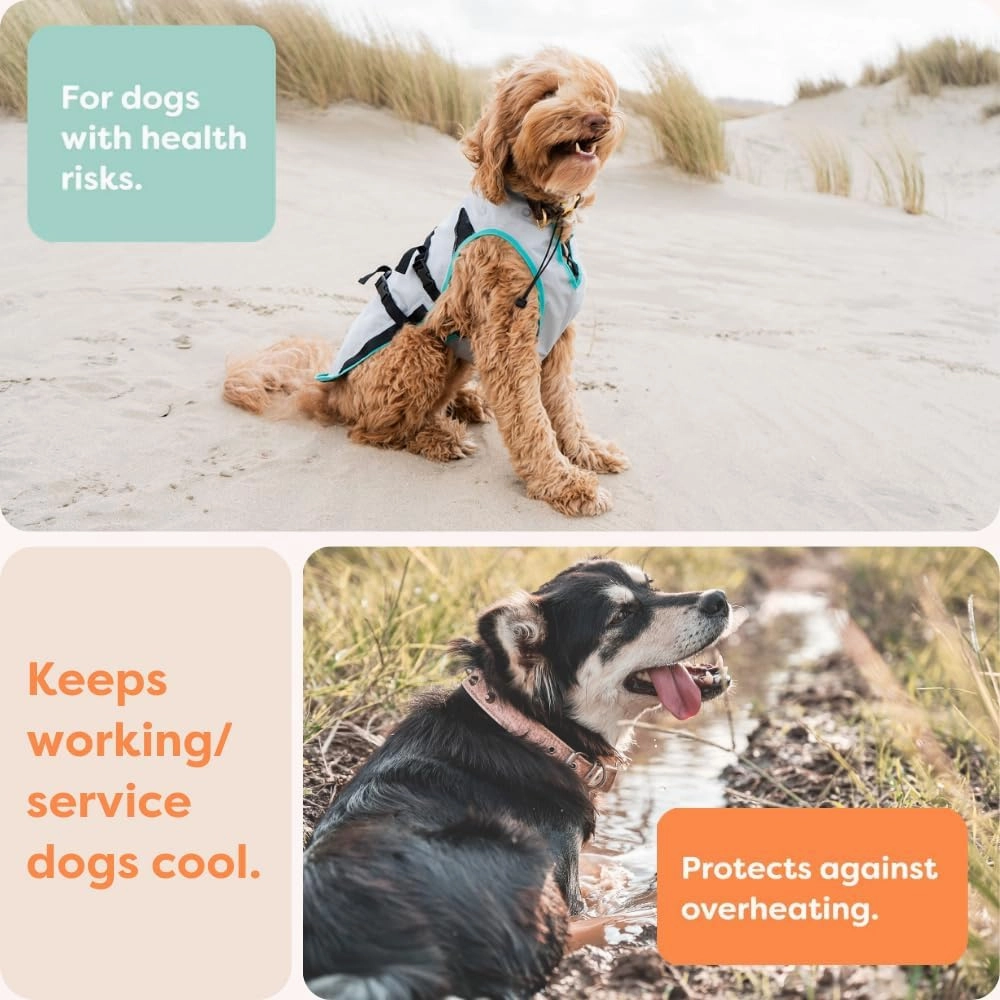 Suitical Dry Cooling Vest for Dogs | Canine Cooling Vest for Hot Weather | Dog Cool Down Jacket | Machine Washable | S | Neck to Tail 14”- 20” | Chest 22-28” Around | Neck Circumference 18” | Silver