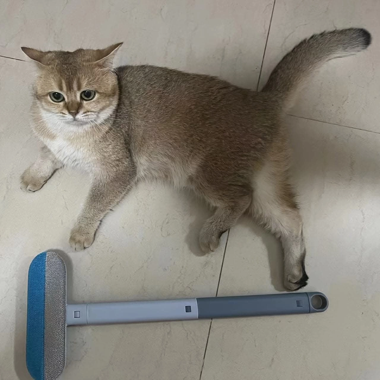 Super Absorbent Pet Hair Remover