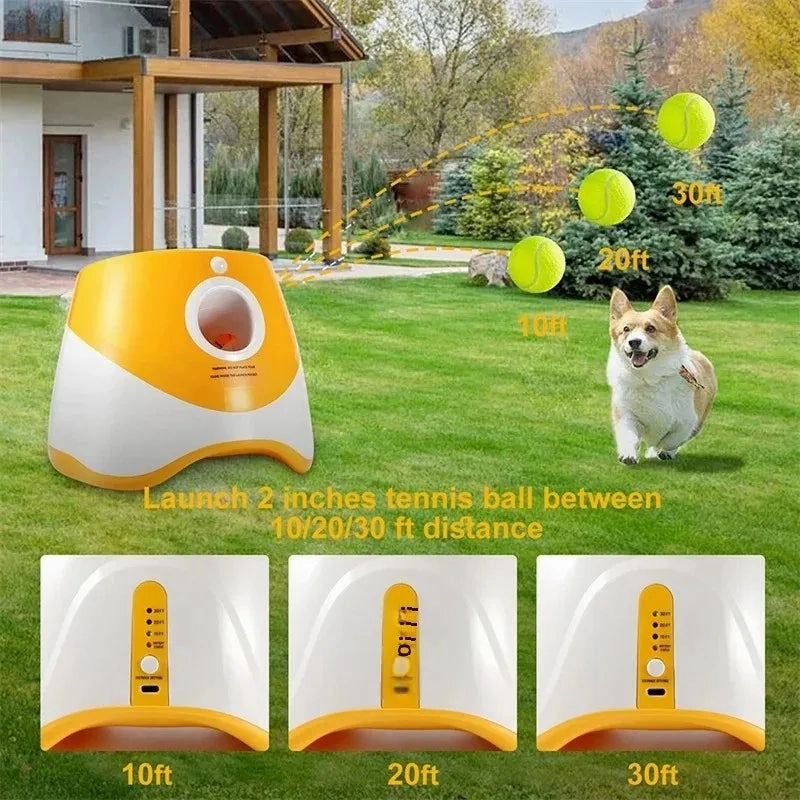 The Ball-Buddy.