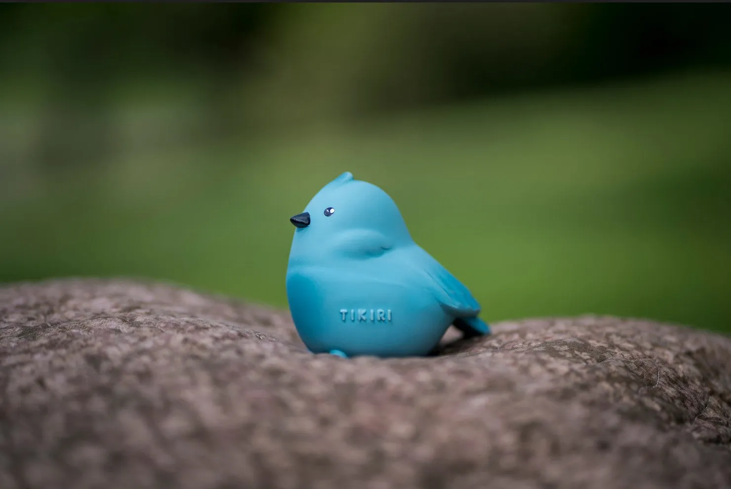 Tikiri Garden Animals - Bird Teether and Rattle Toy, GIFT BOX