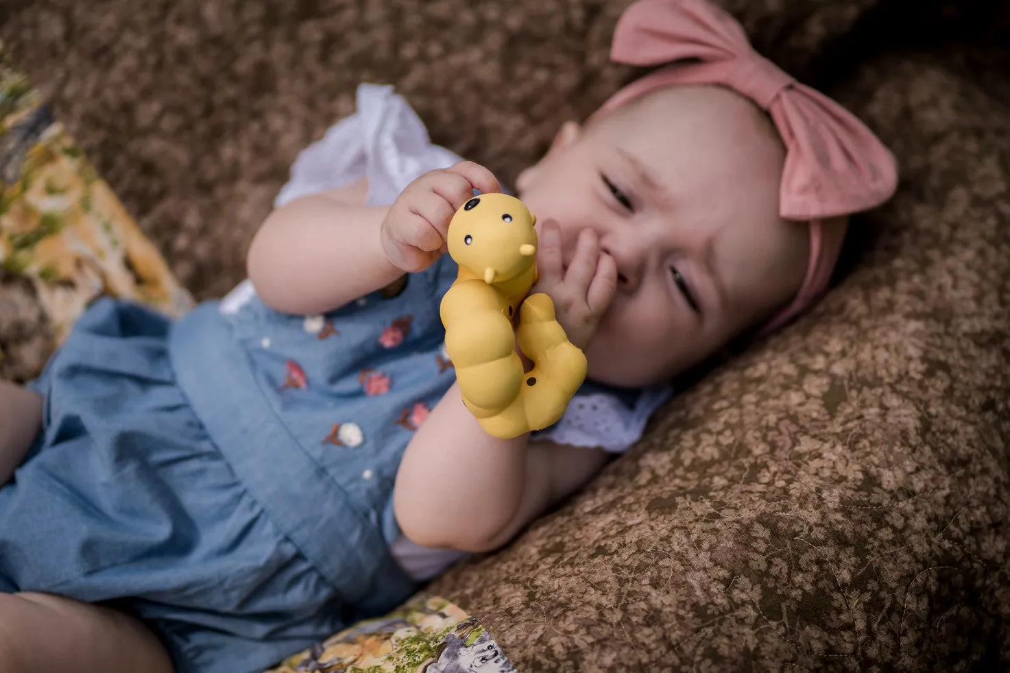 Tikiri Garden Animals - Caterpillar Teether and Rattle Toy, GIFT BOX