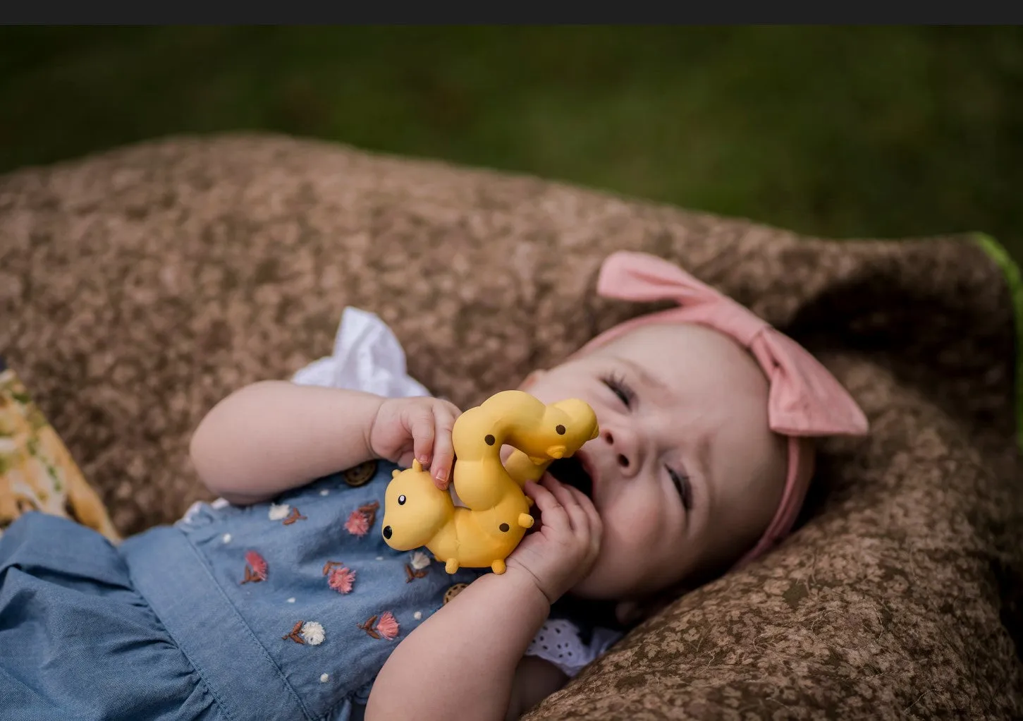 Tikiri Garden Animals - Caterpillar Teether and Rattle Toy, GIFT BOX