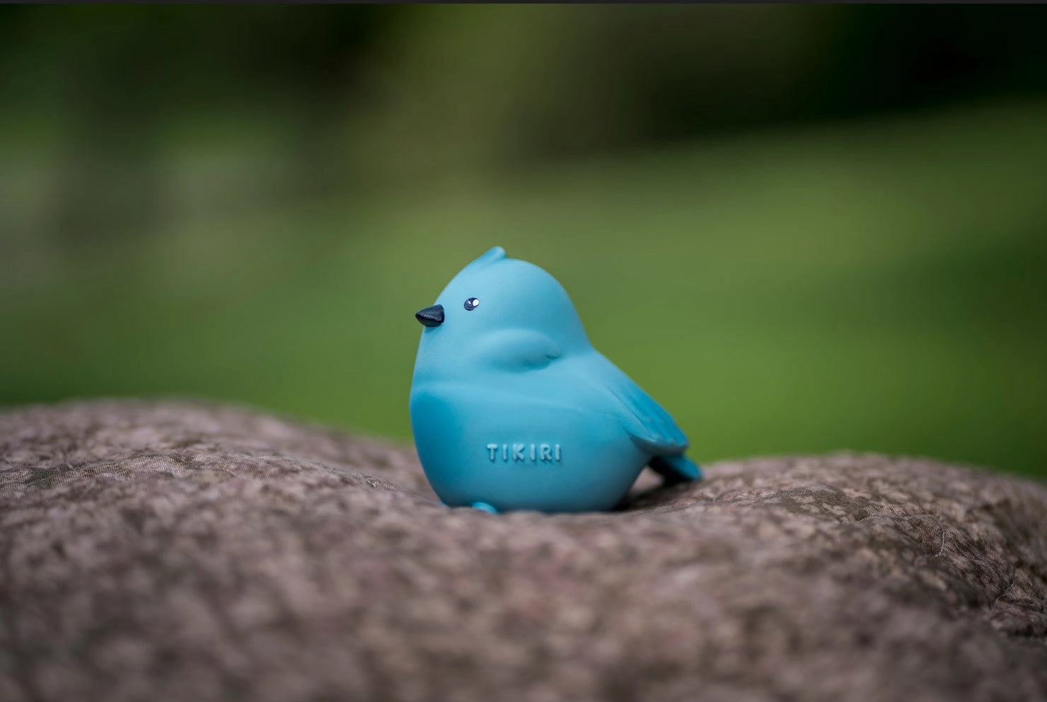 Tikiri Garden Animals - Bird Teether and Rattle Toy, GIFT BOX