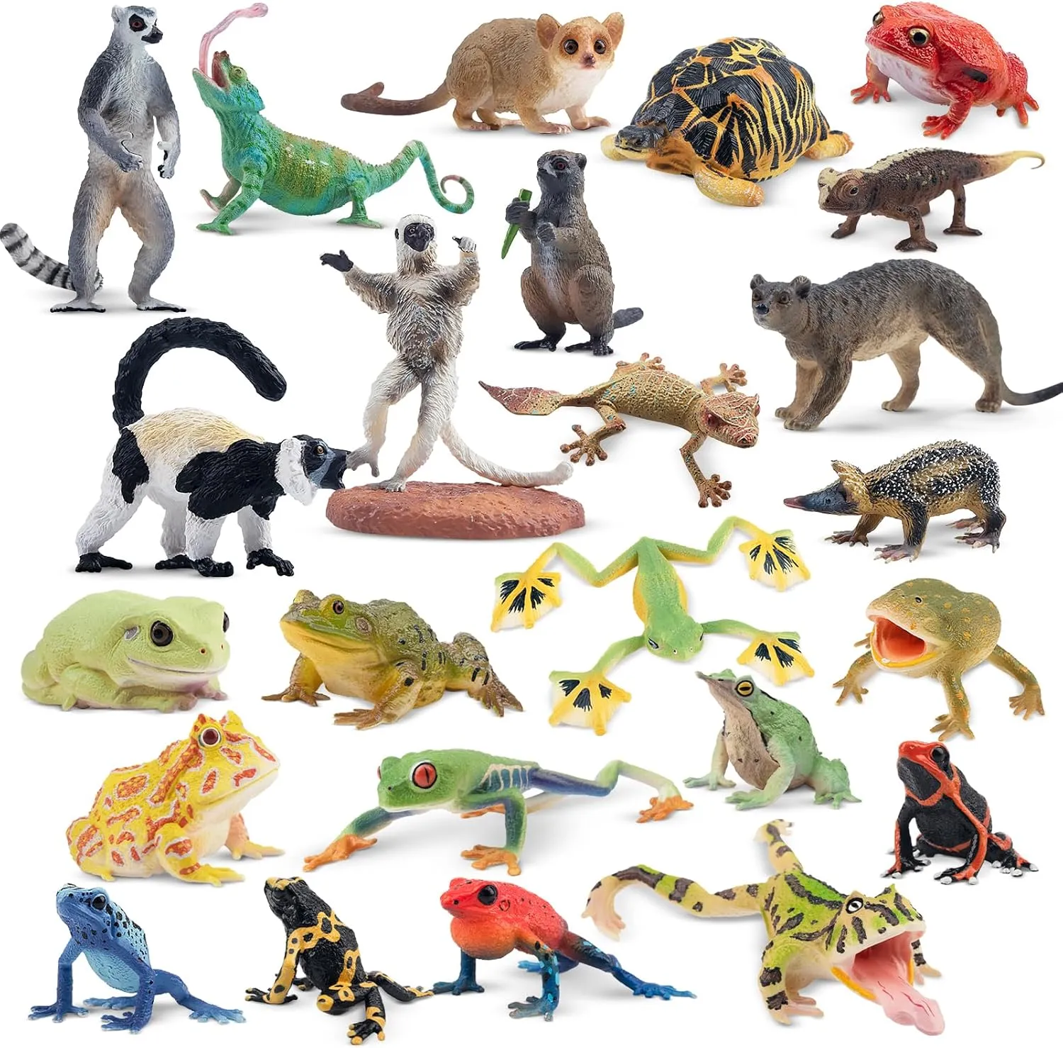 Toymany 24PCS Madagascar Animal Figurine and Frog Toy Figures Set, Plastic Jungle Animals Toy for Kids Adults